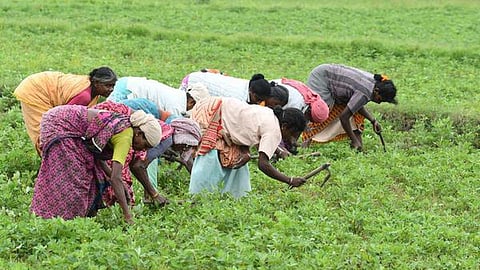 திருமண்டங்குடியில் தீபாவளியன்று விவசாயிகள் கருப்பு கொடியேந்தி போராட்டம் நடத்த முடிவு