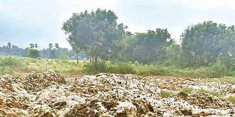 பண்ணைக்குட்டையில் ரசாயனம் கலந்த கழிவுநீர் சேர்ந்துஅப்பகுதியில் சுகாதார சீர்கேட்டை ஏற்படுத்தியுள்ளது.