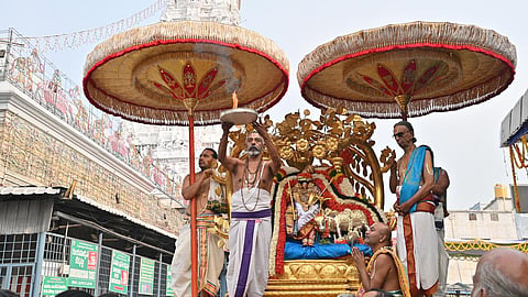 கற்பகவிருட்ச வாகனத்தில் பத்மாவதி தாயார் பவனி