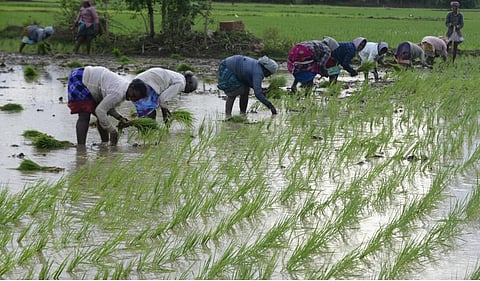 கோப்புப்படம்