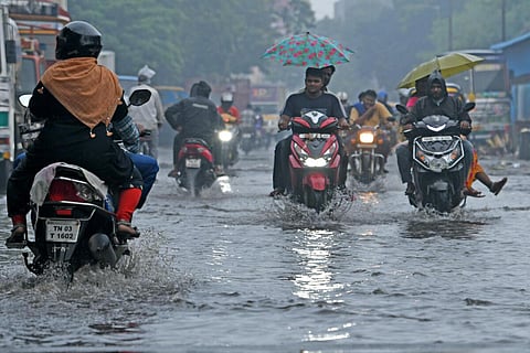படம்: ஜோதி ராமலிங்கம்