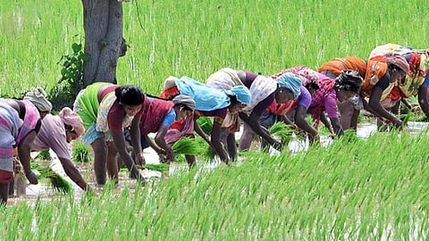 கோப்புப்படம்