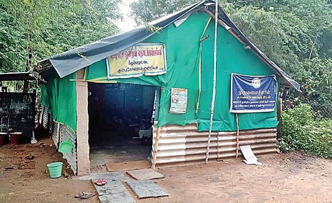 படம்: எஸ்.ஆறுமுகம்