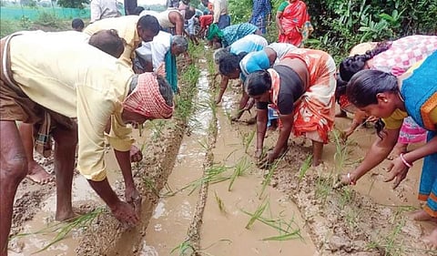 மயிலாடுதுறை அருகே கடக்கம் ஊராட்சிக்கு உட்பட்ட சோலையாம்பட்டினம் கிராமத்தில் சகதியான சாலையில் நேற்று நாற்று நடும் போராட்டத்தில் ஈடுபட்ட கிராம மக்கள்.