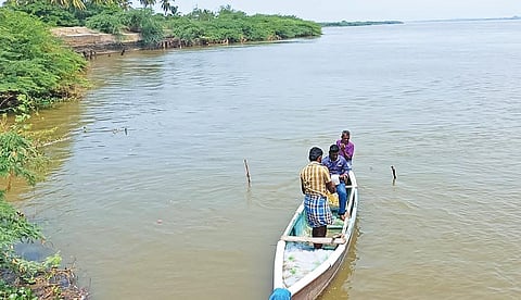 பரந்து விரிந்திருக்கும் கொள்ளிடம் ஆற்றின் கீழத்திருக்காழிப்பாளை பகுதி.