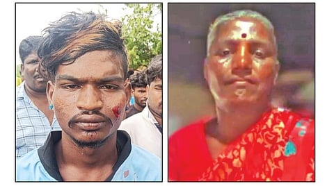 சேவாக், கஸ்தூரி