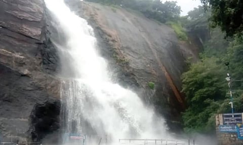 நெல்லை, தென்காசியில் மழை நீடிப்பு: பழைய குற்றாலம் அருவியில் வெள்ளப்பெருக்கு