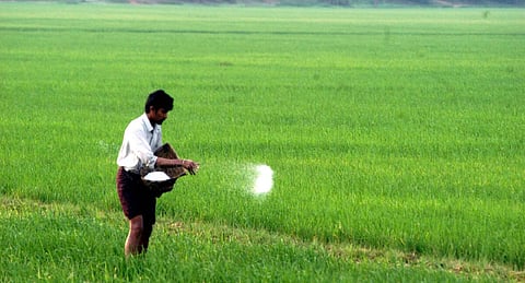 திருவாரூரில் தொடர் மழை: ஒரு பக்கம் மகிழ்ச்சி; மறுபக்கம் கவலை