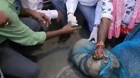 மாநகராட்சி சார்பில் சென்னை முழுவதும் தெரு நாய்களுக்கு வெறிநோய் தடுப்பூசி திட்டம் தொடக்கம்