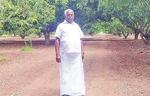 மாந்தோப்பில் விவசாயி எம்.முருகேசன்.