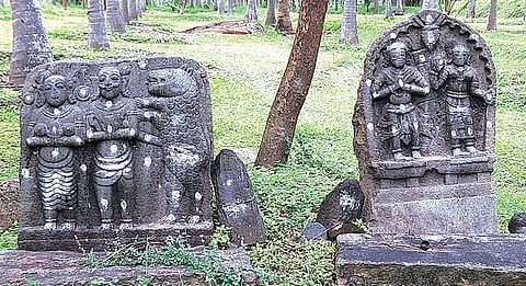ஆனைமலை அருகே பெத்தநாயக்கனூர்- ஜமீன் கோட்டாம்பட்டி பகுதியில் காணப்பட்ட நூற்றாண்டுகள் பழமை வாய்ந்த புலிக்குத்தி கல்.