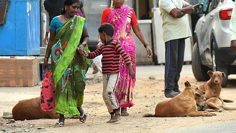 பிரதிநிதித்துவப் படம்