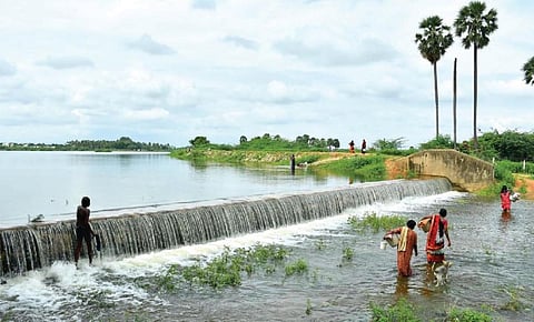 படம்: மு.லெட்சுமி அருண்