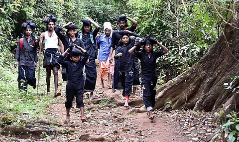 சபரிமலைக்கு செல்லும் வழித்தடத்தில் நடமாடிய 88 காட்டுப்பன்றிகள், 59 பாம்புகளை பிடித்து வனப்பகுதியில் விடுவிப்பு