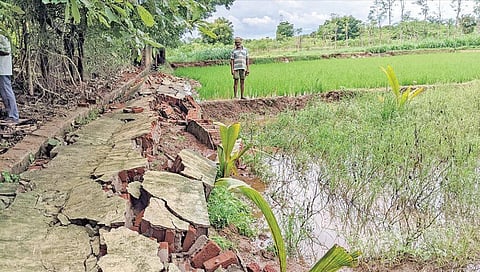 வத்தலகுண்டு அருகே தொடர் மழை: கிராமங்களுக்குள் புகுந்த மழை நீர்