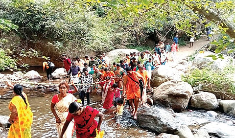 சதுரகிரி சுந்தரமகாலிங்கம் கோயிலுக்கு செல்லும் வழியில் உள்ள மாங்கனி ஓடையை கடந்து செல்லும் பக்தர்கள்.