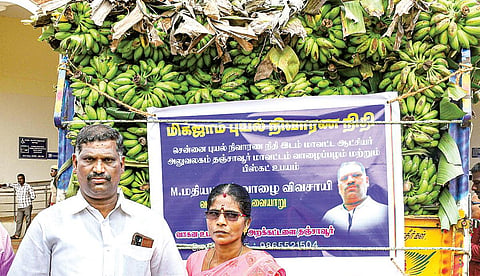 தஞ்சாவூர் ஆட்சியர் அலுவலகத்தில் நேற்று 4 டன் வாழைத்தார்களை வழங்கிய விவசாய தம்பதி. | படம்: ஆர்.வெங்கடேஷ்