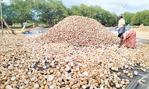 பிரதிநிதித்துவப் படம்