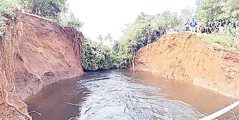 நடுவீரப்பட்டில் ஏரிக்கரையை மர்ம நபர்கள் வெடி வைத்து உடைத்ததாக புகார்: அமைச்சர் அன்பரசன், ஆட்சியர் ஆய்வு