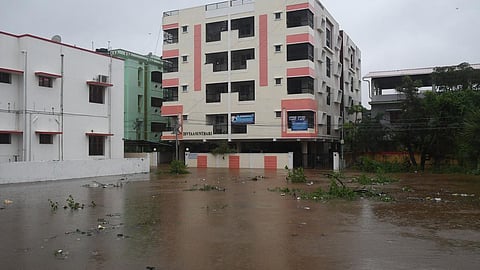 படம்: அ. ஷேக் முகைதீன்