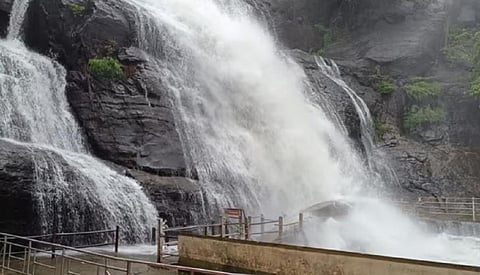 தென்காசியில் அணைகள் நிரம்பின - குற்றாலம் அருவிகளில் தொடர்ந்து வெள்ளப்பெருக்கு