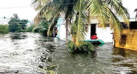 ஸ்ரீவில்லிபுத்தூர் ராஜகுலராமபேரி கண்மாயில் உடைப்பு ஏற்பட்டதால், ரயில் நிலையம் செல்லும் வழியில் உள்ள பகுதிகளில் குடியிருப்புகளை சூழ்ந்துள்ள வெள்ள நீர்.