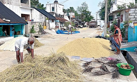 விமான நிலையத்துக்கு கையகப்படுத்தபட உள்ள ஏகனாபுரம் கிராமத்தில் வீட்டு வாசலில் உலர்த்தப்படும் நெல். | படங்கள்: எம்.முத்துகணேஷ்