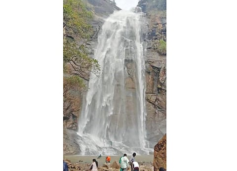 கொல்லிமலை ஆகாயகங்கை நீர் வீழ்ச்சியில் கொட்டும் தண்ணீரில் குளித்து மகிழும் சுற்றுலாப் பயணிகள்.
