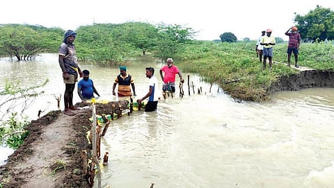 அவத்தாண்டை கண்மாய் உடைப்பை சீரமைத்த விவசாயிகள், கிராம இளைஞர்கள்.