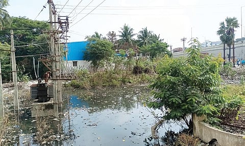 கால்வாய் முறையான பராமரிப்பு இல்லாததால், கிருஷ்ணகிரி சிட்கோ வளாகத்தில் உள்ள மின்மாற்றியைச் சுற்றி தேங்கியுள்ள சாக்கடை கழிவுநீர்.