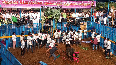 களத்தில் உற்சாகத்துடன் இறங்கிய மாடுபிடி வீரர்கள்