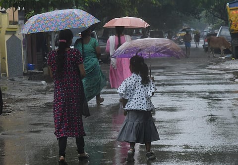 வானிலை முன்னறிவிப்பு: நீலகிரி, தேனி உள்ளிட்ட 13 மாவட்டங்களுக்கு கனமழை வாய்ப்பு