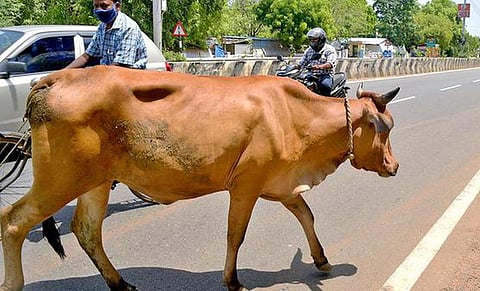 கோப்பு படம்