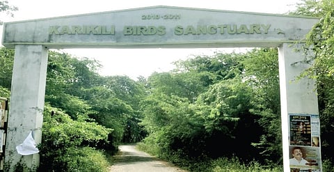 ராம்சார் தளமாக அறிவிக்கப்பட்ட கரிகிலி சரணாலயத்தை மேம்படுத்த கோரிக்கை