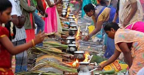 பொங்கல் பண்டிகை - முதல்வர் மு.க. ஸ்டாலின் உள்ளிட்ட தலைவர்கள் வாழ்த்து