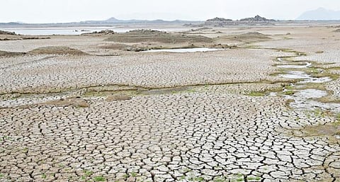 தருமபுரி மாவட்டம் நாகமரை அருகே, மேட்டூர் அணையின் நீர் தேங்கும் பரப்பின் பின்புற எல்லைப் பகுதியில் படிந்து காணப்படும் வண்டல் மண்.