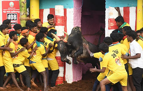 திருவள்ளுவர் விவகாரம் முதல் ஆந்திர அரசியல் நகர்வு | செய்தித் தெறிப்புகள் 10 @ ஜன.16, 2024