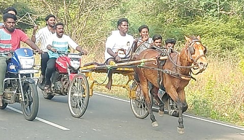 பொங்கல் பண்டிகை கொண்டாட்டத்தை முன்னிட்டு திமுக சார்பில் திருவாலங்காட்டில் நேற்று நடைபெற்ற ரேக்ளா குதிரை பந்தயத்தில் 55 குதிரைகள் பங்கேற்றன.