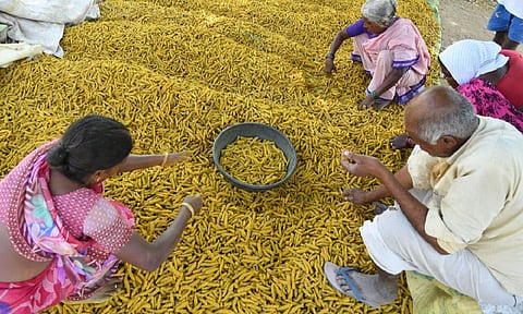 பிரதிநிதித்துவப் படம்