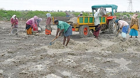 படம்: என்.ராஜேஷ்