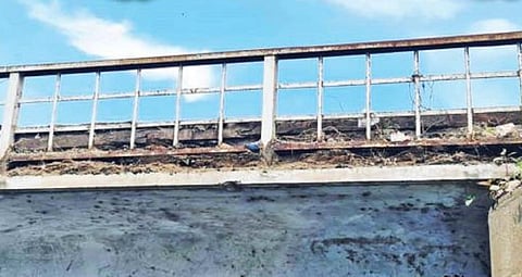 காவேரிப்பட்டணத்தில் தென்பெண்ணை ஆற்றின் குறுக்கே உள்ள உயர்மட்ட மேம்பாலம்.