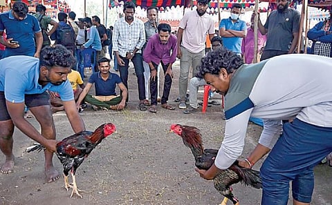 படங்கள்: எஸ்.சத்தியசீலன்
