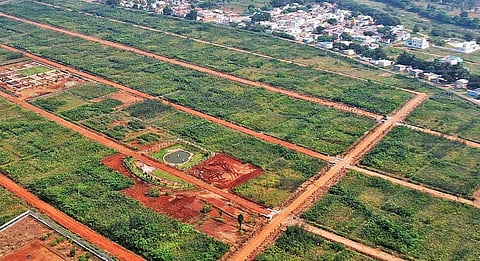 இடையகோட்டை கிராமத்தில் பசுமையாக காணப்படும் மியாவாகி குறுங்காடு (ட்ரோன் காட்சி)