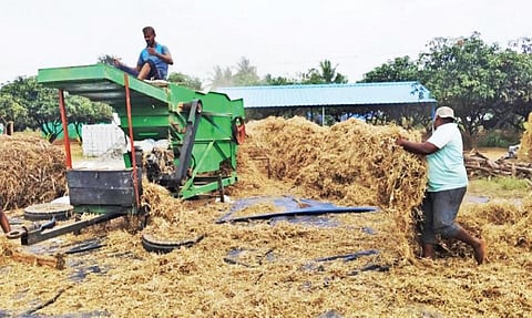 போச்சம்பள்ளி அருகே அறுவடை செய்யப்பட்ட கொள்ளு செடியிலிருந்து பருப்புகளை இயந்திரம் மூலம் தனியாக பிரித்து எடுக்கும் பணியில் ஈடுபட்டுள்ள விவசாய தொழிலாளர்கள்.
