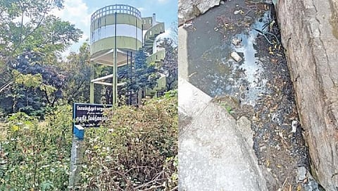 சேரன்மாநகர் குடியிருப்பு பகுதியில் குடிநீர் தொட்டி அமைந்துள்ள வளாகம் புதர் மண்டி காட்சியளிக்கிறது. (அடுத்தபடம்) சாக்கடை கால் வாய் சரிவர பராமரிக்கப்படாததால் கழிவுநீர் அதிகளவு தேங்கியுள்ளது.