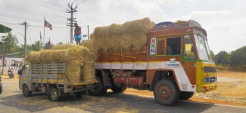உள்ளூரில் வைக்கோல் தட்டுப்பாடு: வெளி மாவட்டங்களில் இருந்து கொள்முதல் செய்யும் சேலம் விவசாயிகள்