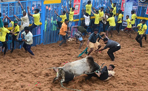 ஜல்லிக்கட்டு கொண்டாட்டத்தில் மோதல்: அதிமுக பெண் கவுன்சிலர் உள்ளிட்ட 3 பேர் மீது தாக்குதல்
