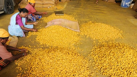 பிரதிநிதித்துவப் படம்