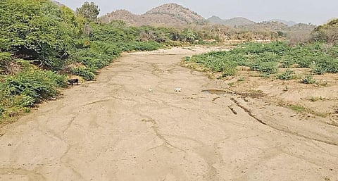 தமிழக- கர்நாடக எல்லையான பாலாறு, தண்ணீரின்றி வறண்டு மணல் திட்டுகளாக காட்சியளிக்கிறது.