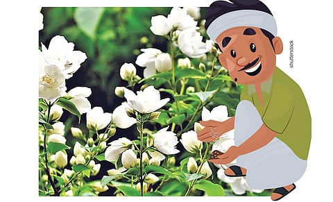 கதை: மாயமான மல்லிகைப் பூக்கள்!